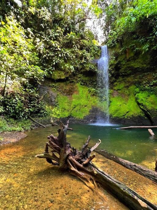 Гостьовий будинок Mama Yeya Raices San Cipriano Екстер'єр фото