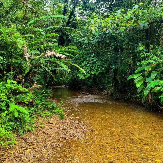 Гостьовий будинок Mama Yeya Raices San Cipriano Екстер'єр фото